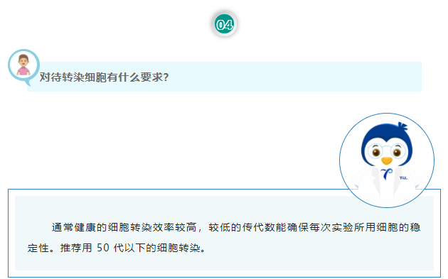 对待转染细胞有什么要求？通常健康的细胞转染效率较高，较低的传代数能确保每次实验所用细胞的稳定性。推荐用 50 代以下的细胞转染。