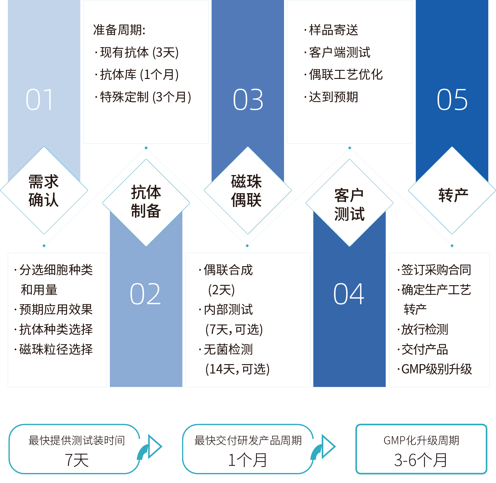 15vip太阳集团细胞分选激活磁珠/分选磁珠定制，定制流程