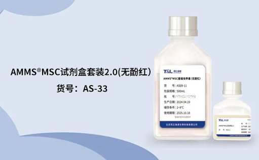人间充质干细胞培养：挑战与应对之策