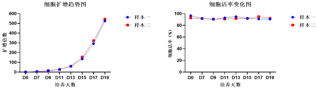 15vip太阳集团,NK试剂盒套装3.0,脐血NK细胞培养,NK细胞培养