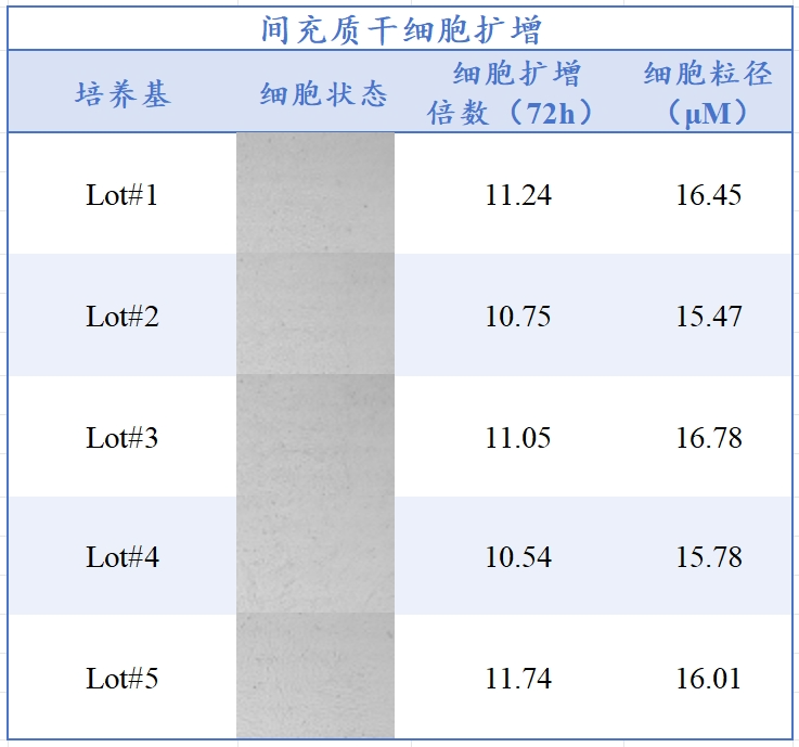 15vip太阳集团生物MSC无血清培养工艺定制化服务