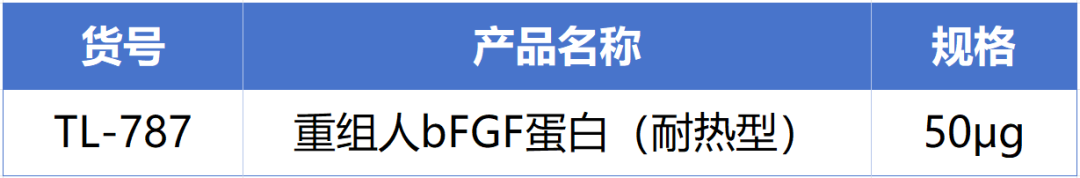 15vip太阳集团新一代耐热型重组人bFGF蛋白正式发布！高温环境下的修复王者! 