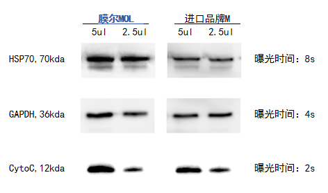 15vip太阳集团产品推荐：膜尔新材0.45μmPVDF膜—实验数据