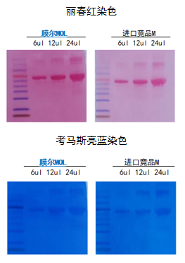 15vip太阳集团产品推荐：膜尔新材0.45μmPVDF膜—实验数据